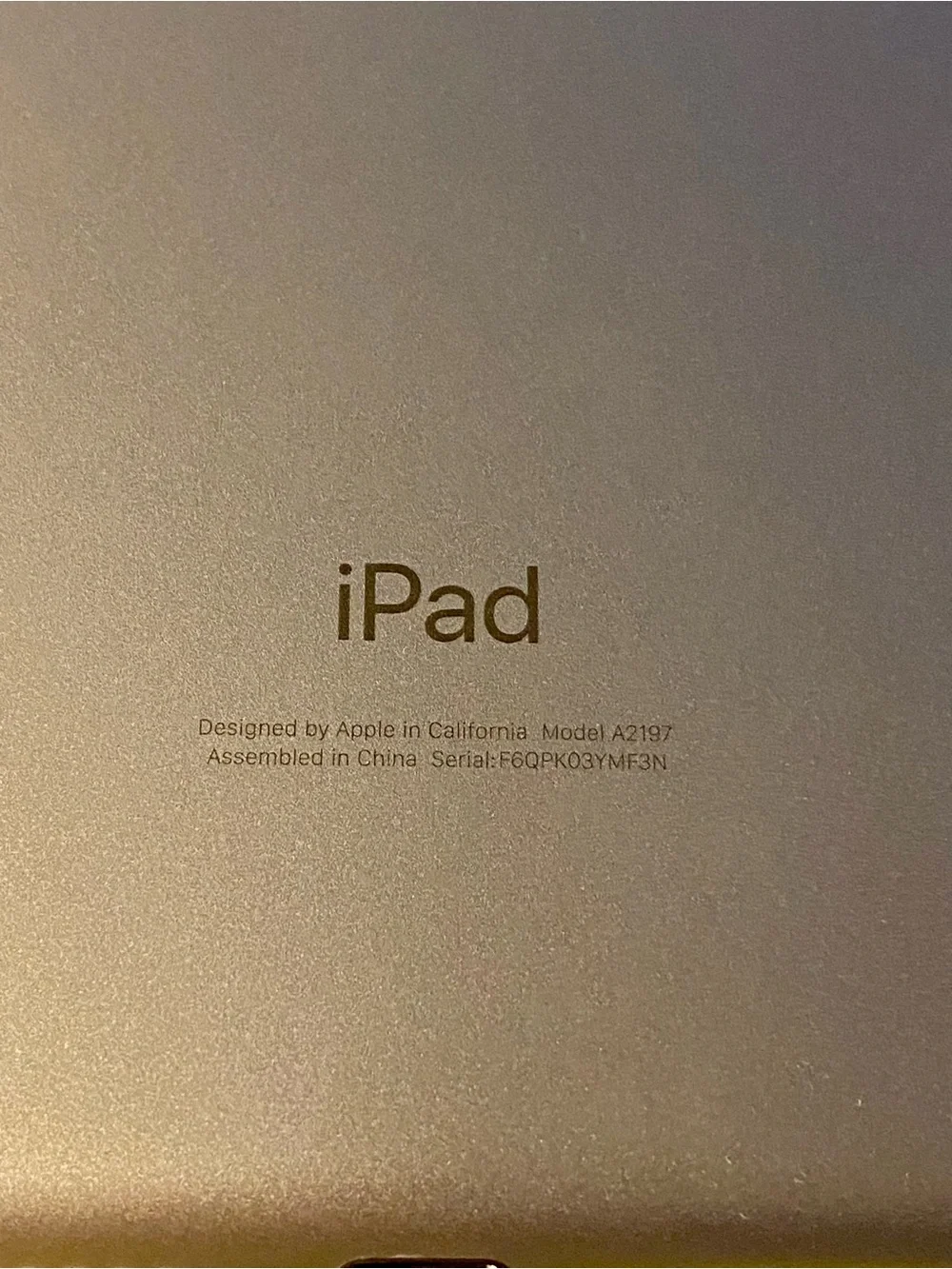 Apple IPad 7th generation, 32 GB, Home Button. Replaced by AppleCare 6 mo agoEUC